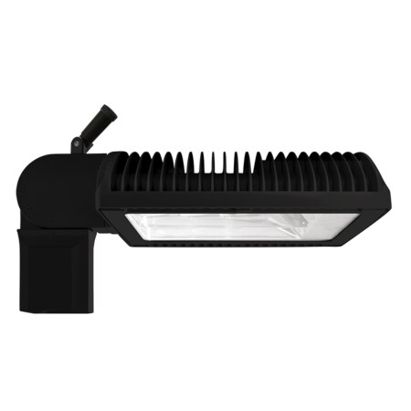Rab ALED125 TYPE II W/ SLIPFITTER NEUTRAL LED + 120V PCS BLACK ALED2T125SFNK/PCS